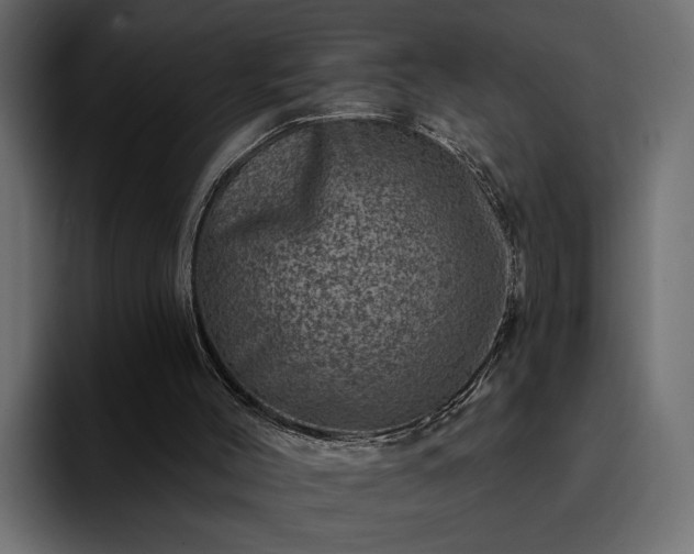 X0000095130004200712141206