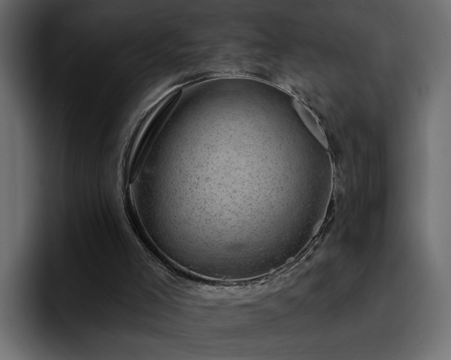 X0000095130005200712141206