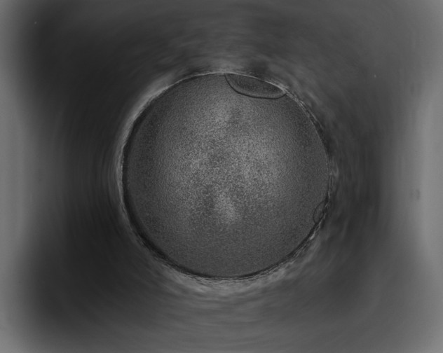 X0000095130006200712141206