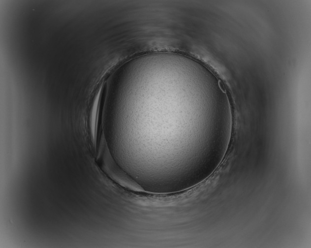 X0000095130009200712141205