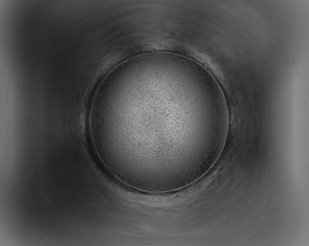 X0000095130010200712141205