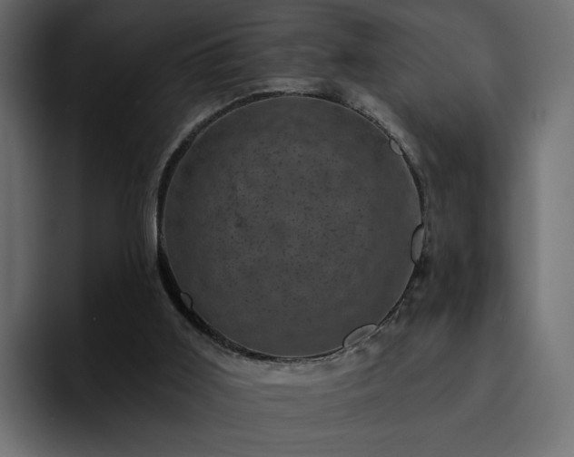 X0000095130011200712141205