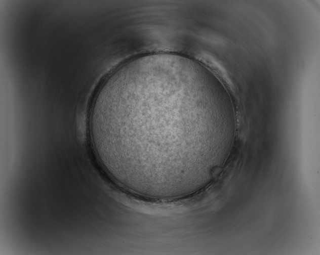 X0000095130012200712141205