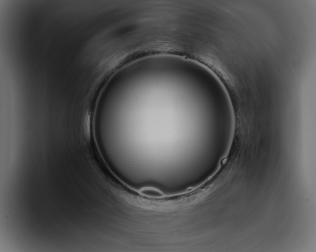 X0000095130014200712141205