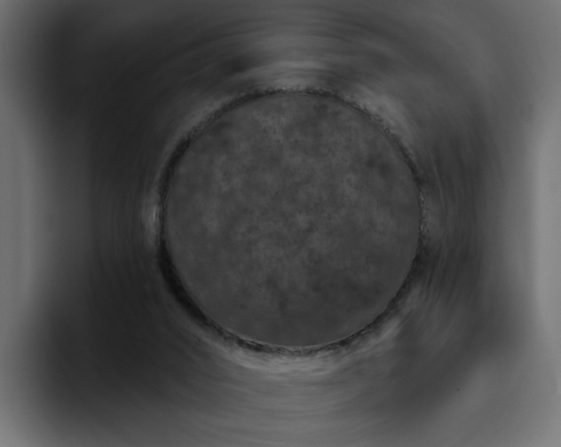 X0000095130016200712141205