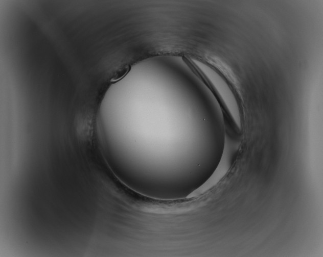 X0000095130017200712141205