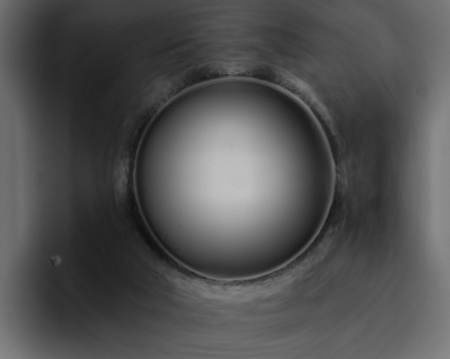 X0000095130018200712141205