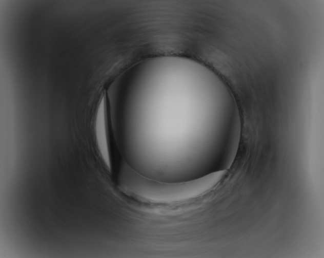 X0000095130021200712141205