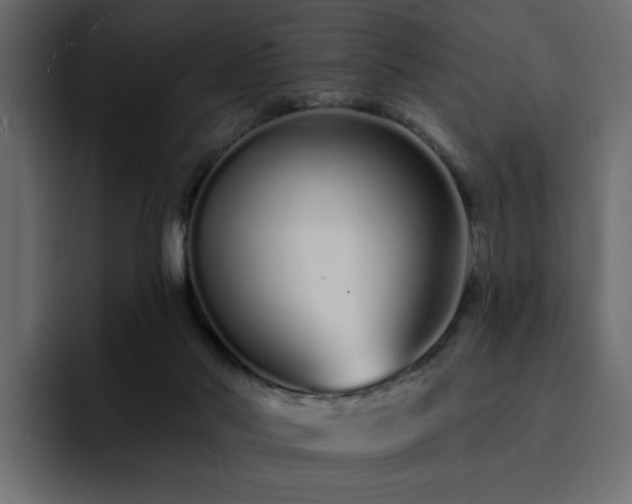 X0000095130022200712141205