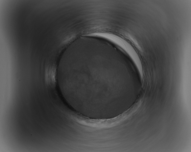 X0000095130023200712141205