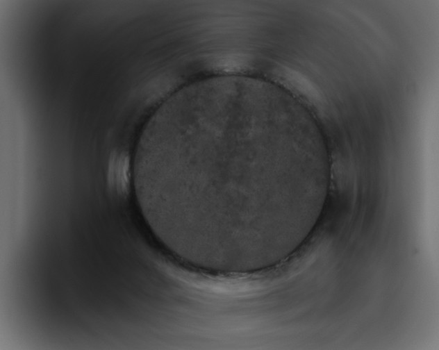 X0000095130024200712141205