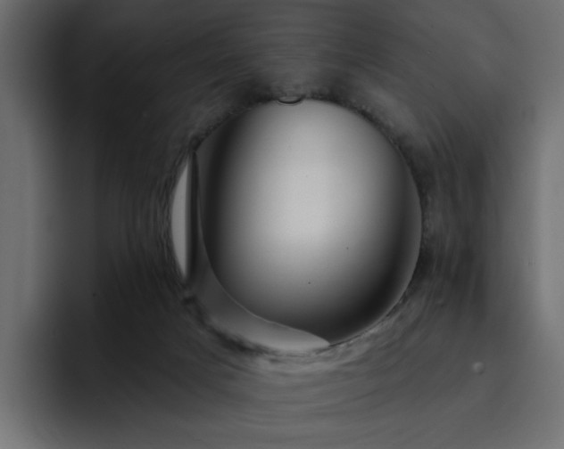 X0000095130025200712141205