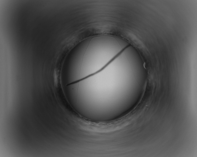 X0000095130026200712141205