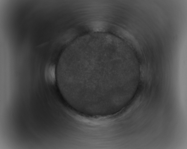 X0000095130028200712141205