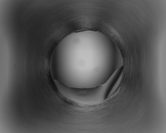 X0000095130029200712141205