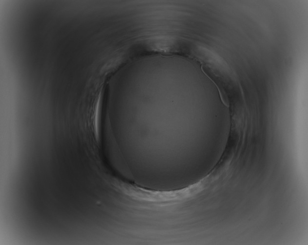 X0000095130031200712141205