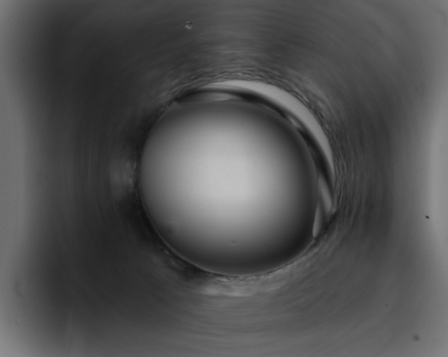 X0000095130033200712141205