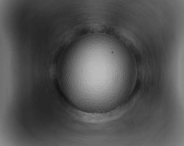 X0000095130034200712141205