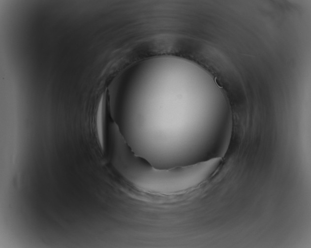 X0000095130035200712141205