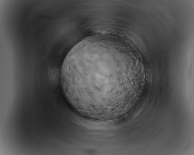 X0000095130036200712141205