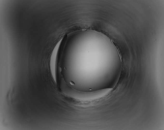 X0000095130037200712141205