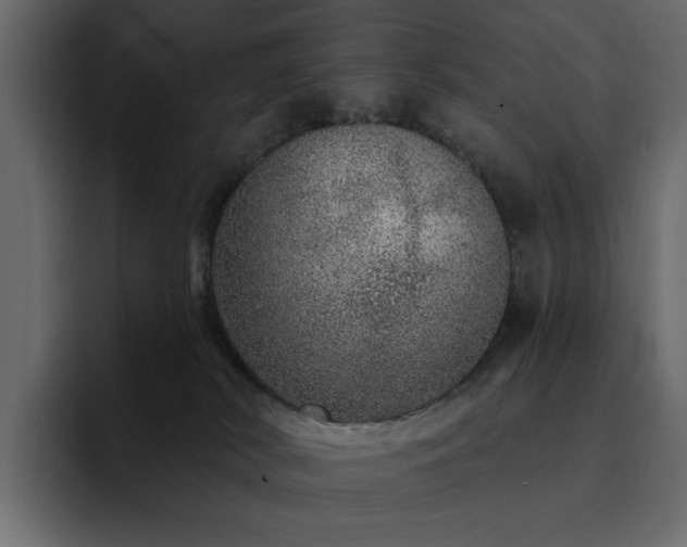 X0000095130038200712141205