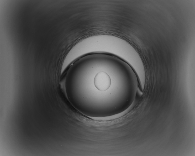 X0000095130039200712141205