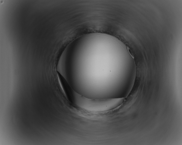 X0000095130040200712141205