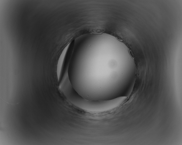 X0000095130041200712141205