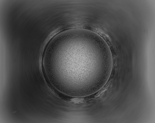 X0000095130051200712141204