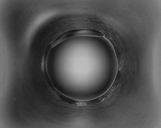 X0000095130052200712141204