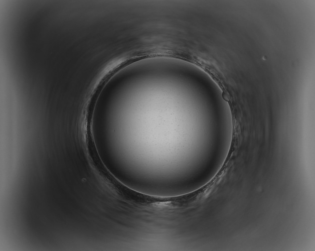 X0000095130054200712141204