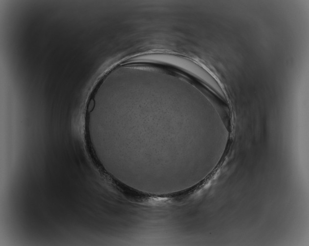 X0000095130055200712141204