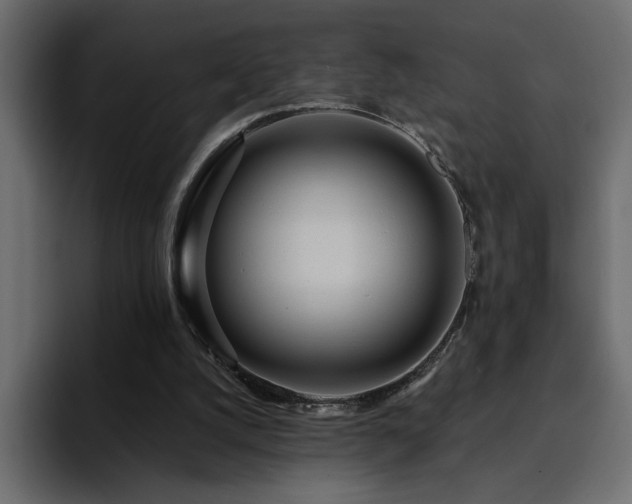 X0000095130056200712141204