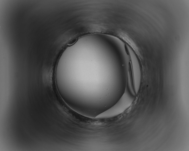 X0000095130058200712141204