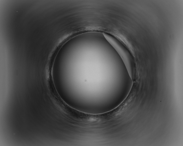 X0000095130060200712141204