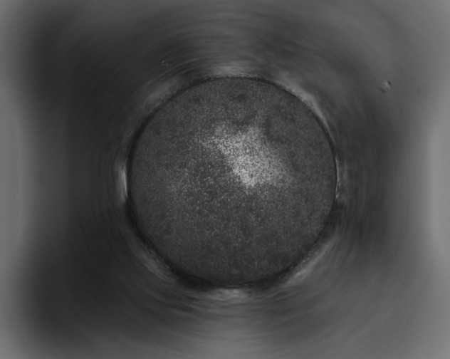 X0000095130061200712141205