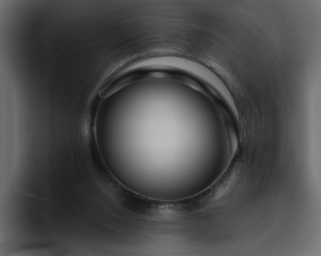 X0000095130064200712141205