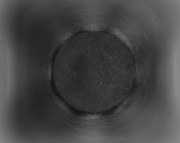 X0000095130065200712141205