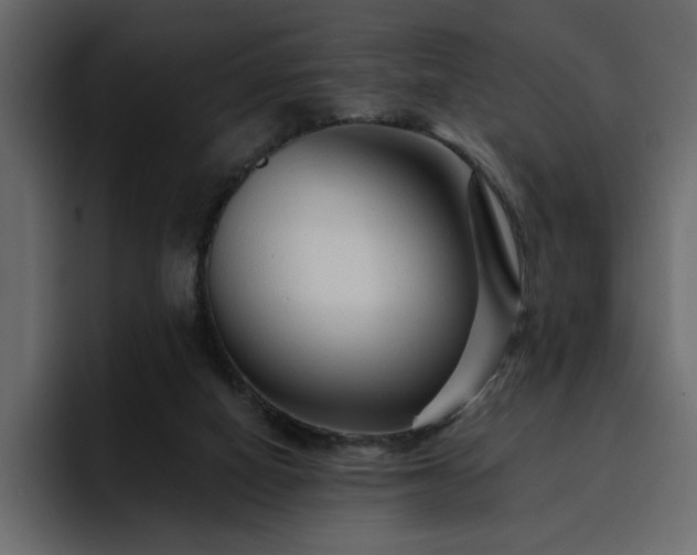 X0000095130066200712141205