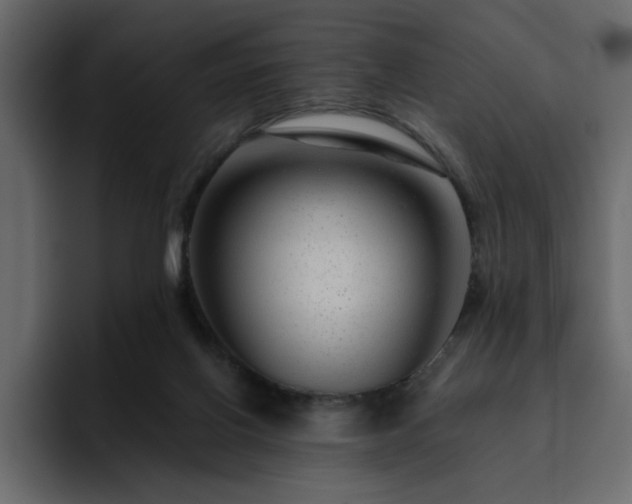 X0000095130070200712141205