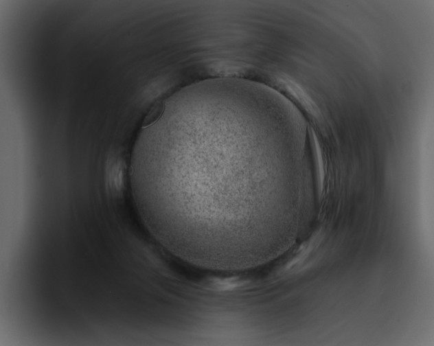 X0000095130071200712141205