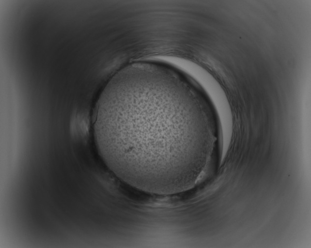 X0000095130072200712141205