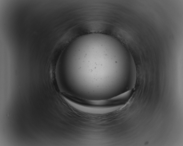 X0000095130074200712141205