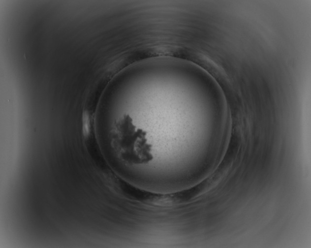 X0000095130075200712141205