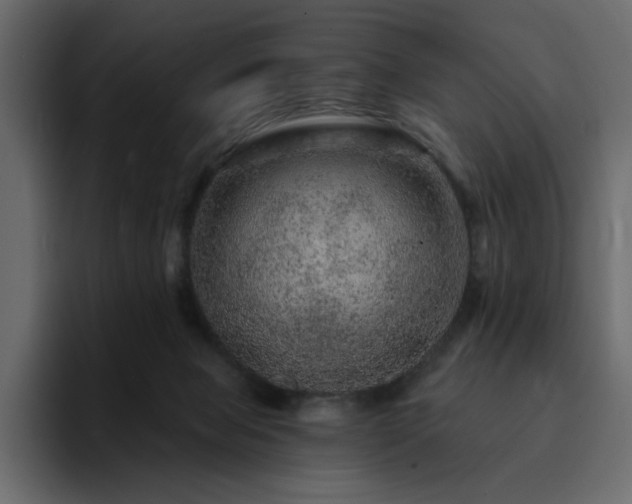 X0000095130077200712141205