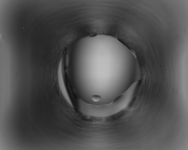 X0000095130080200712141205