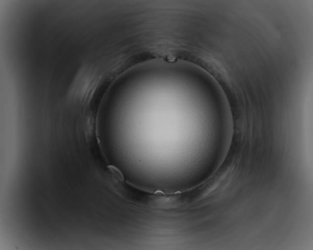 X0000095130081200712141205