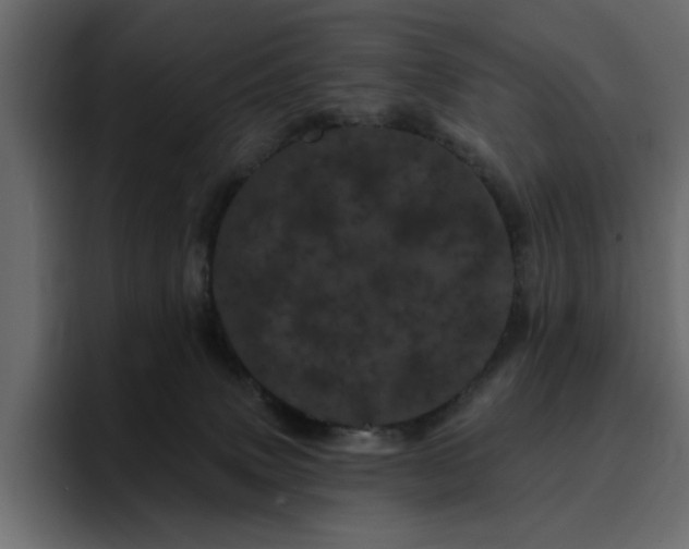 X0000095130083200712141205