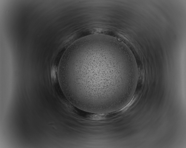 X0000095130094200712141205